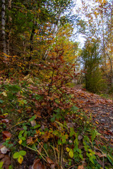 Natural landscape with blue sky in Spain