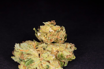 Cannabis bud on black background. Macro Marijuana 