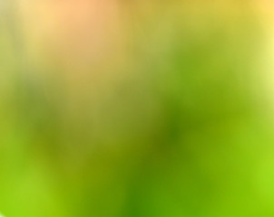 Abstract Light Bokeh natural color background