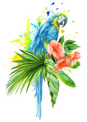 watercolor illustration, jungle plants, parrot macaw bird