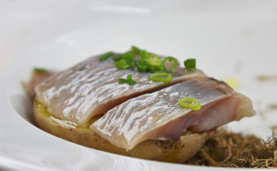 Herring with salt, pepper, herbs and boiled potatoes on a white ceramic plate.