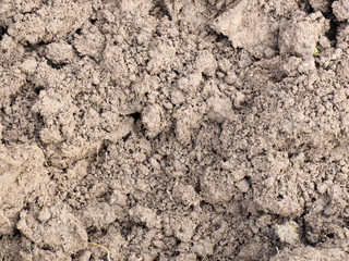 Plowed land on a farm field