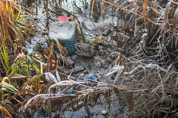 Plastik w rzece © Aleksandra Madejska