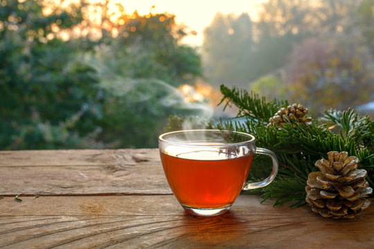 Hot tea in a glass cup on a rustic wooden table outdoors in the garden on a beautiful autumn day, health concept against cold and flu, copy space