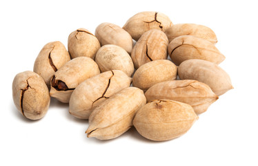 pecans isolated