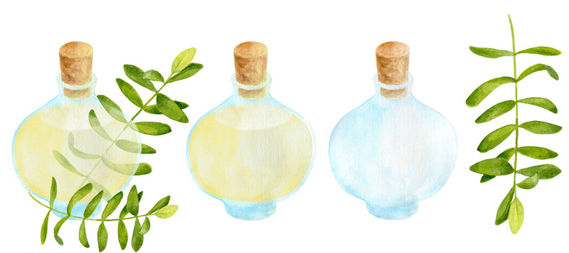 Watercolor aromatherapy set. Empty, full glass bottle with yellow essential oil and green eucalyptus branches. Hand drawn aroma spa elements on white background for card, cosmetics, package design.