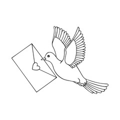 carrier pigeon flies with a letter in its beak. eps10 vector illustration. hand drawing. art line