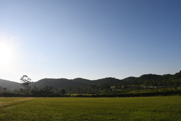 Obraz premium landscape with green field and blue sky