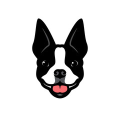 Boston terrier dog - vector illustration