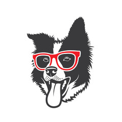 Border Collie dog wearing red eyeglasses - isolated vector illustration - Vector