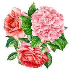 summer composition, bouquet flowers hydrangea and roses on an isolated white background, watercolor illustration