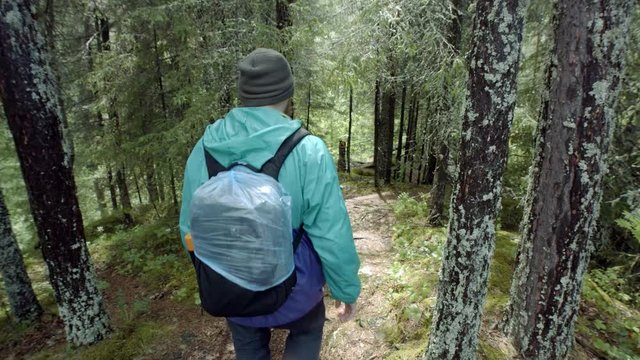 Rear view of traveler walking down forest path. Stock footage. Traveler with backpack and in raincoat goes on bumpy path of dense forest going down
