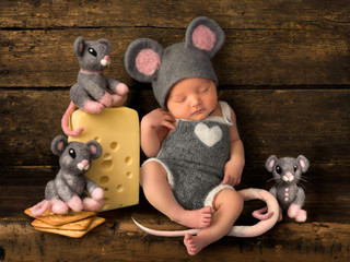 Stuffend and baby mice with cheese