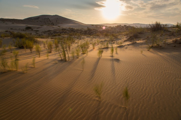 The Sunset in Desert