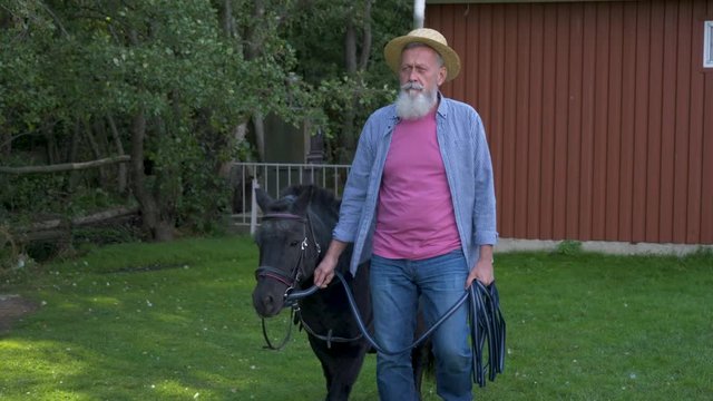 Senior man walking with black pony at farm