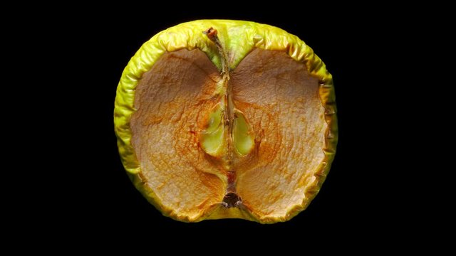 Drying green apple time lapse shot on black. Half of ripe Granny Smith fruit quickly desiccate. Degrade or aging concept. Green skin and light green flesh become yellow and wrinkled