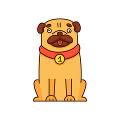 Cartoon pug. Dog on white background. Vector illustration.