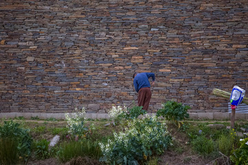 Garden view with farmer planting traditionally vegetables in ecological vegetable garden