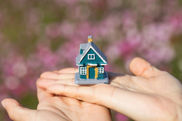 Model house in female hand Isolated on a cosmos flower background.