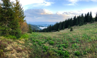Obraz premium mountain valley near the Khomyak mountain in the Carpathian mountains