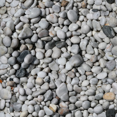 Seamless texture of pebble beach. Marina di Pisa. Italy.