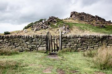 Das Tor