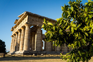 Archaeological site, the Temple of Neptune
