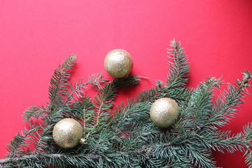 Green fir branch with gold balls on a red background for a Christmas card.