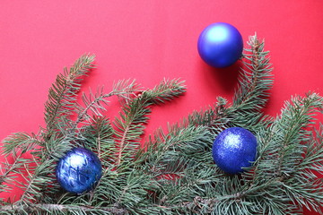 Green fir branch with blue balls on a red background for a Christmas card.