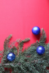 Green fir branch with blue balls on a red background for a Christmas card.