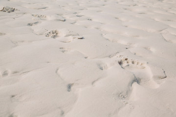 Fußspuren im Sand am Strand