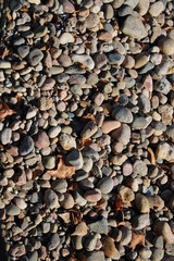 pebbles on the beach
