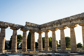 Fototapeta premium Classical greek temple at ruins of ancient city Paestum, Cilento, Italy