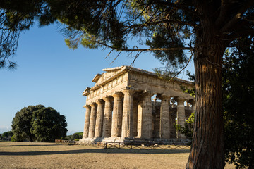Fototapeta premium Classical greek temple at ruins of ancient city Paestum, Cilento, Italy