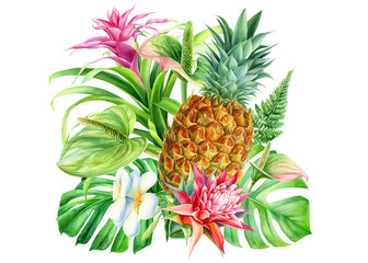 Watercolor hand drawing, botanical painting, tropical flowers, fruit and palm leaves on an isolated white background. Guzmania, Anthurium, Plumeria, Monstera, Ficus, Pineapple, Fern
