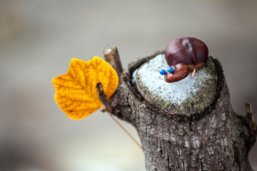 tree stub autumn leaf snow chestnut 