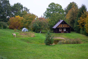 Obraz premium Wooden house in nature in the field. Country house with cow grazing in front and pond.