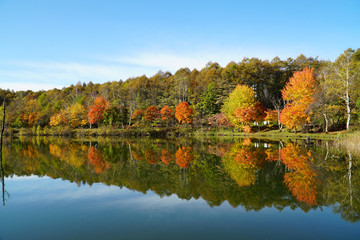 女神湖の紅葉