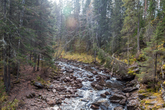 Gorge Larkin near the mountin Iremel, South Ural, Republic of Bashkortostan, Russia