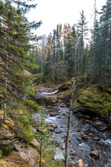 Gorge Larkin near the mountin Iremel, South Ural, Republic of Bashkortostan, Russia