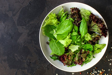 Healthy salad, leaves mix salad (mix micro greens, cucumber, tomato, onion, other ingredients). food background. copy space