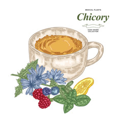 Chicory tea hand drawn. Chicory flowers, mint, lemon and fresh berries isolated on white background. Medical plants hand drawn. Vector illustration. Colorful engraved style.