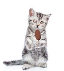 Baby kitten with ice cream looks at camera. isolated on white background