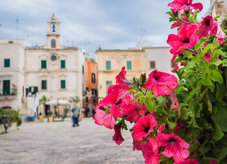 Beautiful pink flowers in the foreground