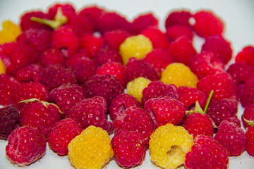 yellow and red raspberries on a white background. It looks like a raspberry carpet