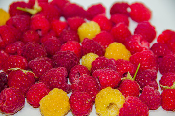 yellow and red raspberries on a white background. It looks like a raspberry carpet