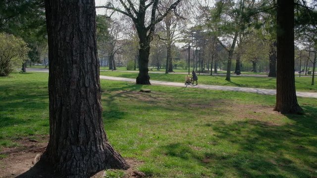 Paseo en el parque. Viena, Austria, Europa.