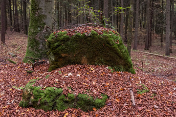 Geheimnissevolle Landschaft des Druidenhaines in der Fränkischen Schweiz