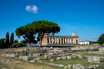 Fototapeta na wymiar Scenic view of ruins of ancient greek temple in ancient touristic town Paestum in Italy