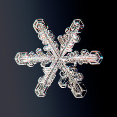 real snowflake on a black background